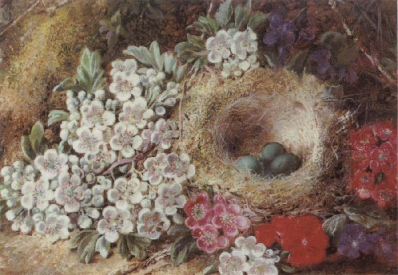 Clare George Bird-s Nest Still Life Norge oil painting art